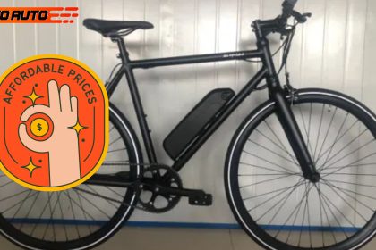 Affordable Electric Bike