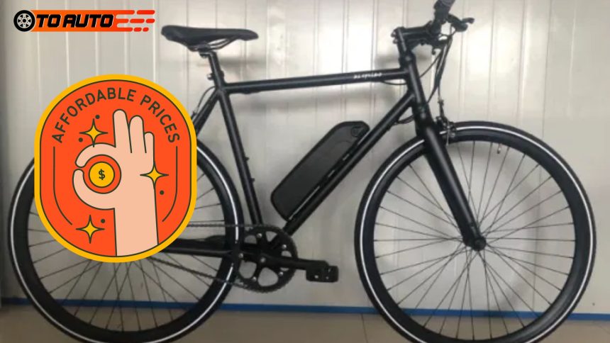 Affordable Electric Bike