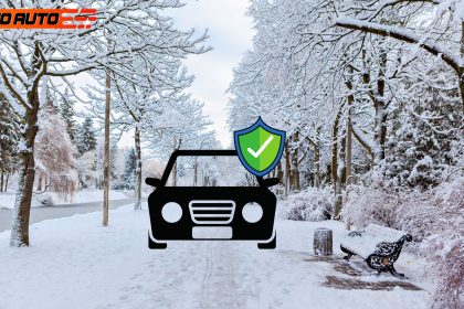 winter car protection