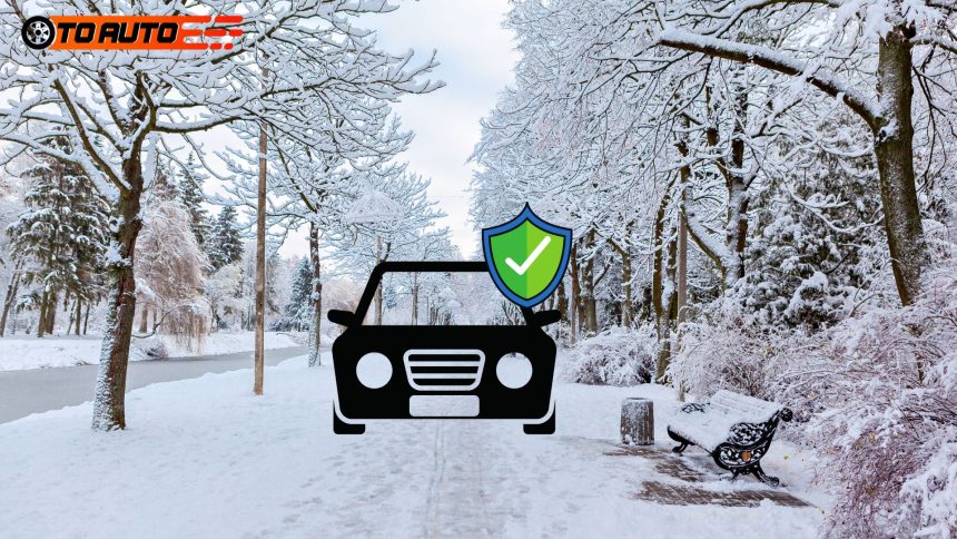 winter car protection